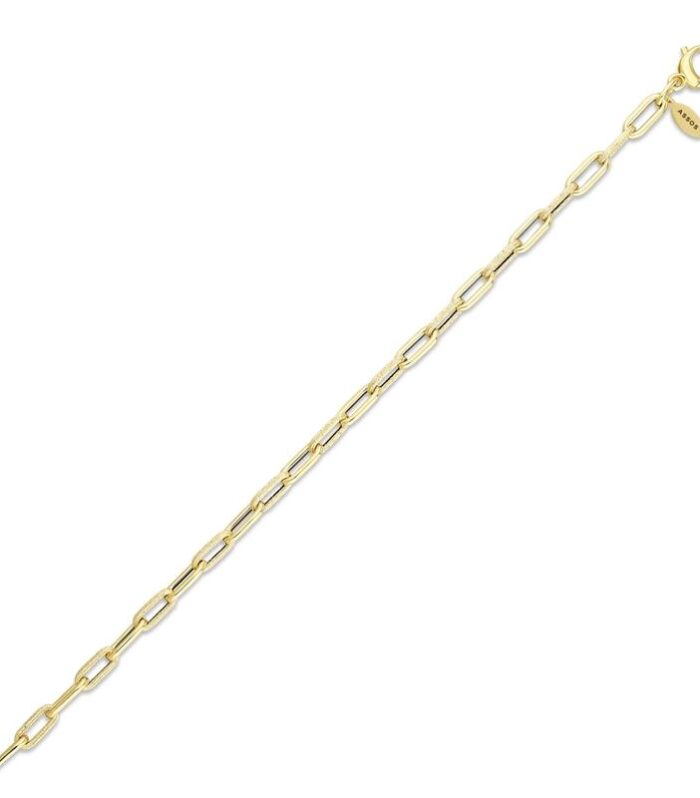 Altın Zincir Bileklik