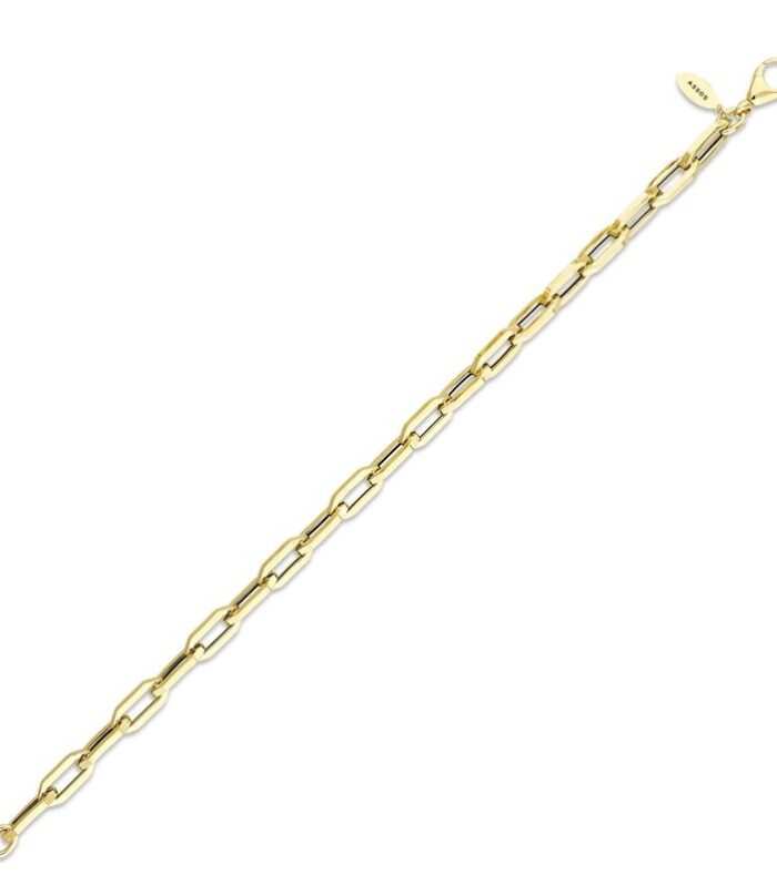 Altın Zincir Bileklik