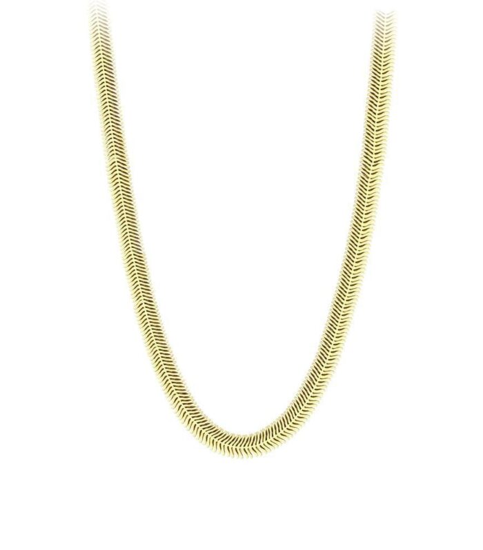 Balık Sırtı Altın Kolye