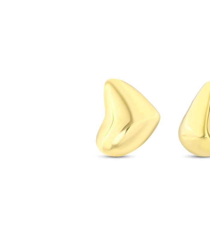 Tasarım Altın Küpe