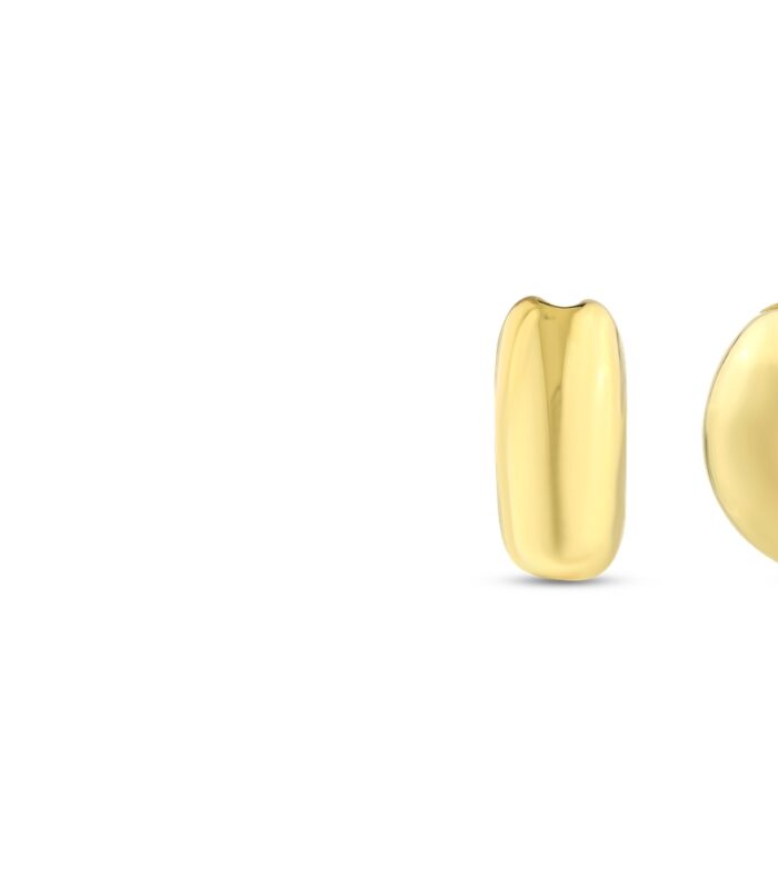 Tasarım Altın Küpe