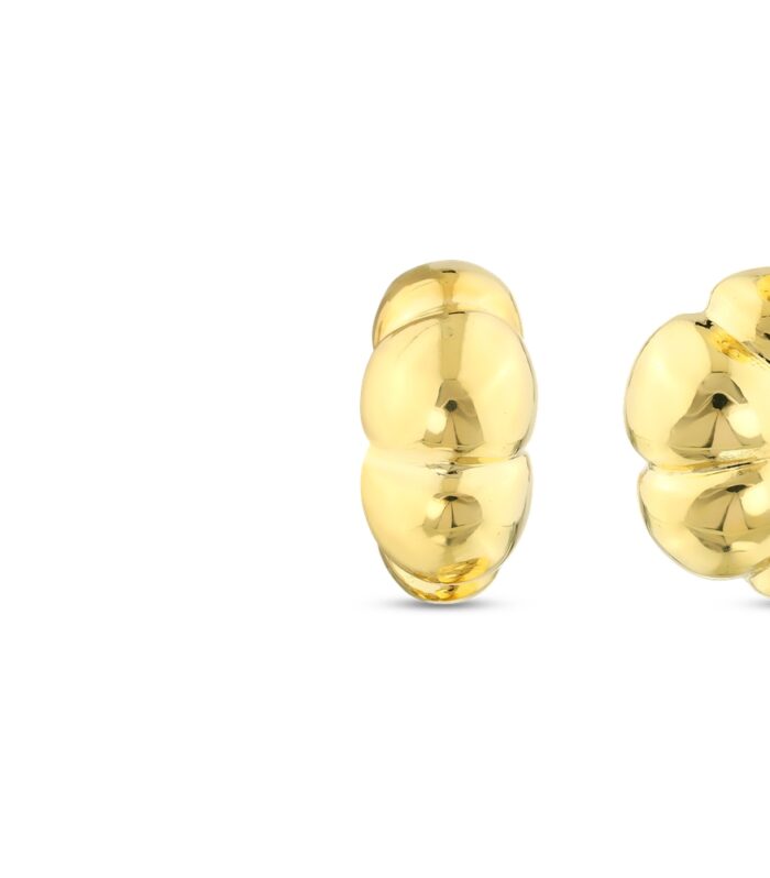 Tasarım Altın Küpe