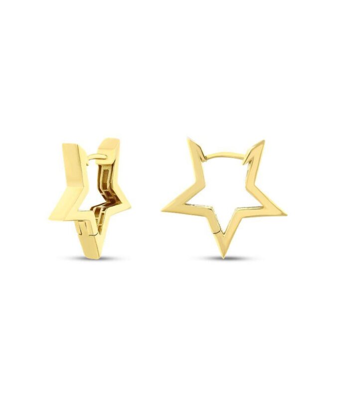 Yıldız Altın Küpe